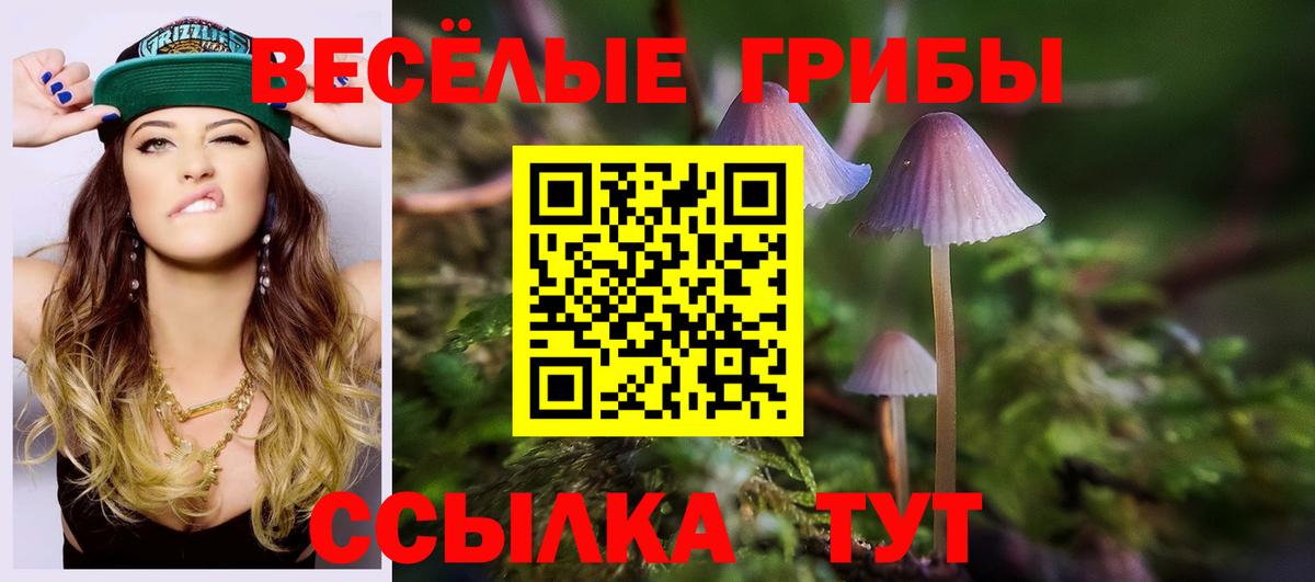 Орёл  Псилоцибиновые грибы MAGIC MUSHROOMS  Галлюциногенные грибы GOLDEN TEACHER  Вход с VPN 