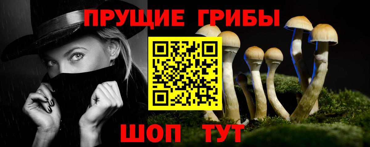Галлюциногенные грибы GOLDEN TEACHER Орёл